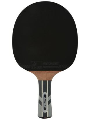 Lopar za namizni tenis DSK Waldner 5000 karbon